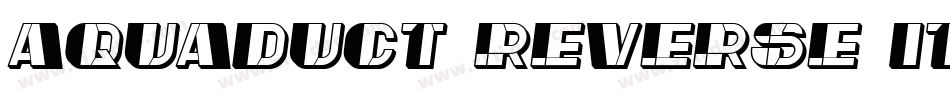 Aquaduct Reverse Italic字体转换